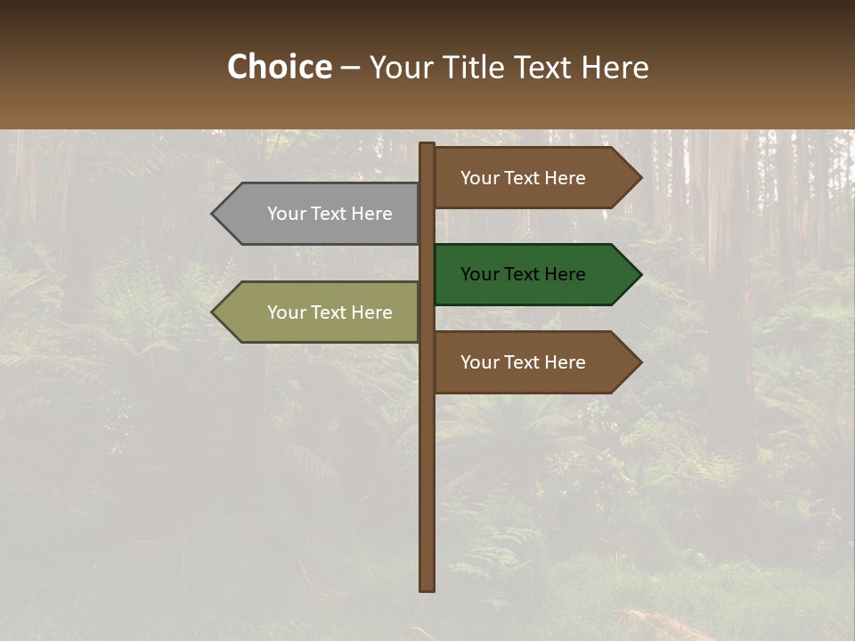 Senior Water Lifestyle PowerPoint Template