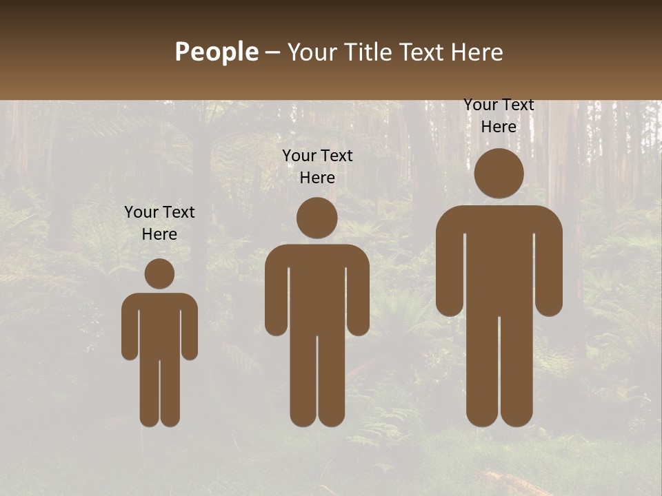 Senior Water Lifestyle PowerPoint Template