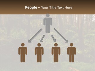 Senior Water Lifestyle PowerPoint Template
