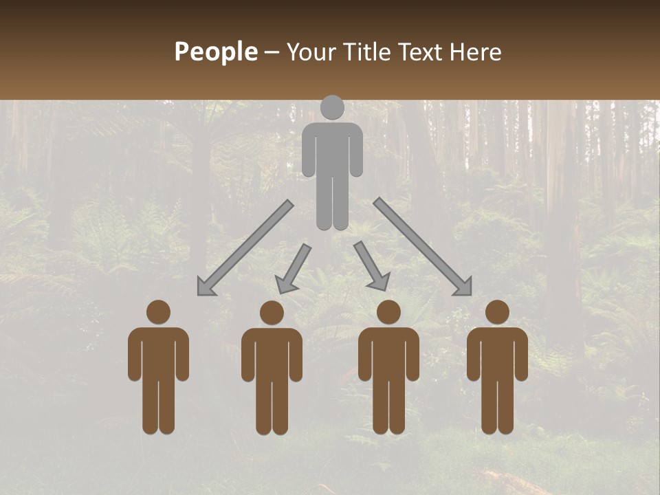 Senior Water Lifestyle PowerPoint Template