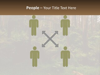 Senior Water Lifestyle PowerPoint Template