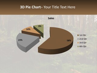 Senior Water Lifestyle PowerPoint Template