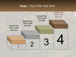 Senior Water Lifestyle PowerPoint Template