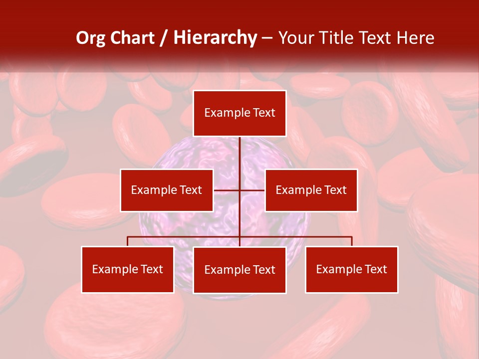 Standing Beach Older PowerPoint Template