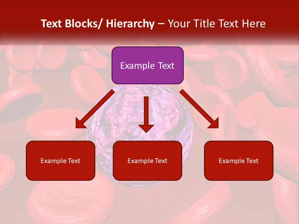 Standing Beach Older PowerPoint Template