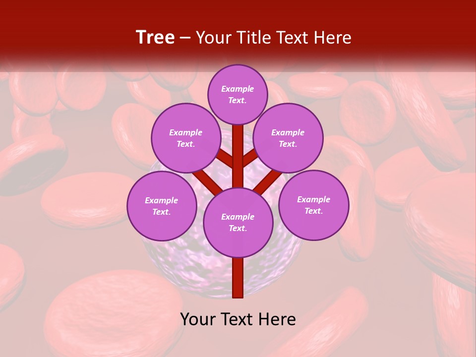 Standing Beach Older PowerPoint Template