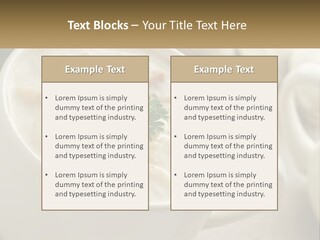 Old Family Elderly PowerPoint Template