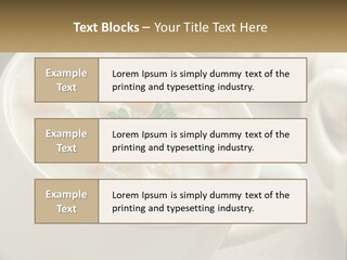 Old Family Elderly PowerPoint Template