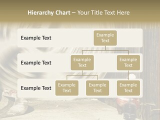 Portrait Wellness Calm PowerPoint Template
