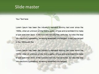 Retirement Calm Sunrise PowerPoint Template