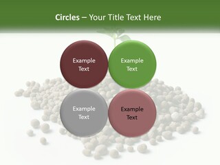 Retirement Calm Sunrise PowerPoint Template