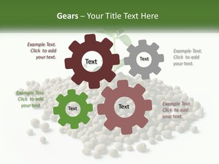 Retirement Calm Sunrise PowerPoint Template