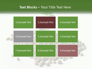 Retirement Calm Sunrise PowerPoint Template