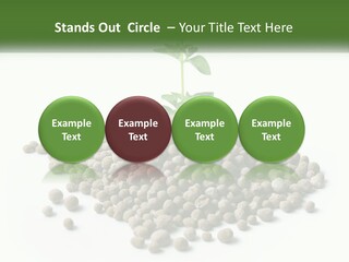 Retirement Calm Sunrise PowerPoint Template