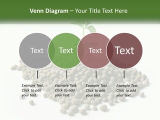 Retirement Calm Sunrise PowerPoint Template