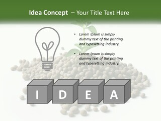 Retirement Calm Sunrise PowerPoint Template