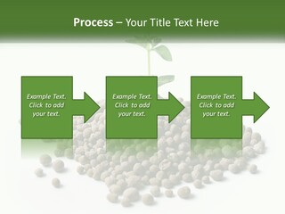 Retirement Calm Sunrise PowerPoint Template
