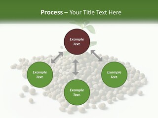 Retirement Calm Sunrise PowerPoint Template
