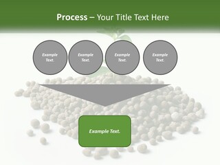 Retirement Calm Sunrise PowerPoint Template