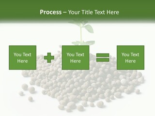 Retirement Calm Sunrise PowerPoint Template