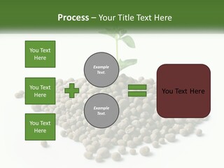 Retirement Calm Sunrise PowerPoint Template