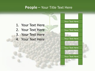 Retirement Calm Sunrise PowerPoint Template