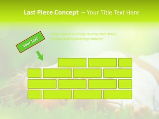 Ocean Beach Portrait PowerPoint Template