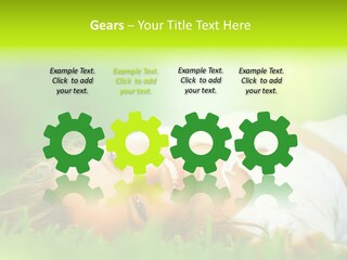 Ocean Beach Portrait PowerPoint Template