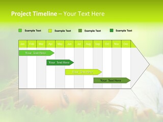 Ocean Beach Portrait PowerPoint Template