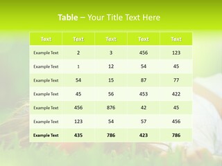 Ocean Beach Portrait PowerPoint Template