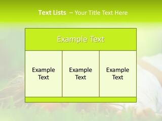 Ocean Beach Portrait PowerPoint Template