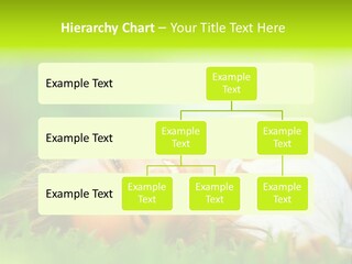 Ocean Beach Portrait PowerPoint Template