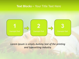 Ocean Beach Portrait PowerPoint Template