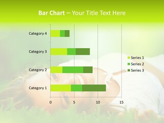 Ocean Beach Portrait PowerPoint Template