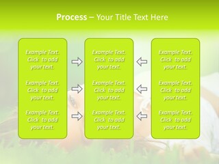 Ocean Beach Portrait PowerPoint Template