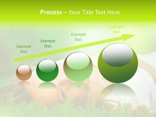 Ocean Beach Portrait PowerPoint Template