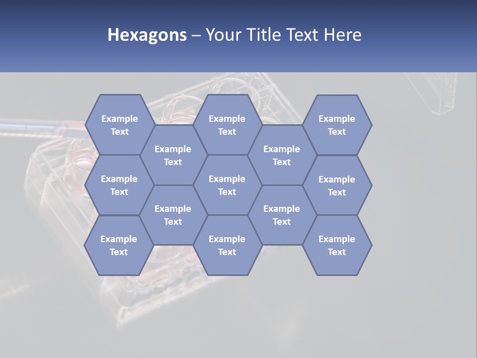 Retirement Portrait Wellness PowerPoint Template