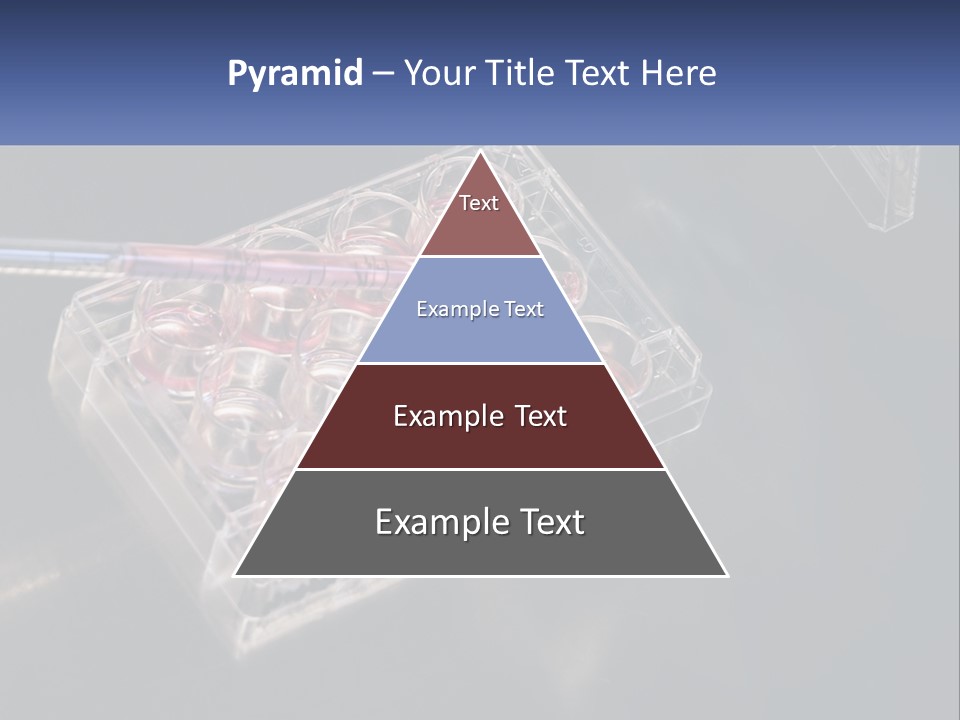 Retirement Portrait Wellness PowerPoint Template