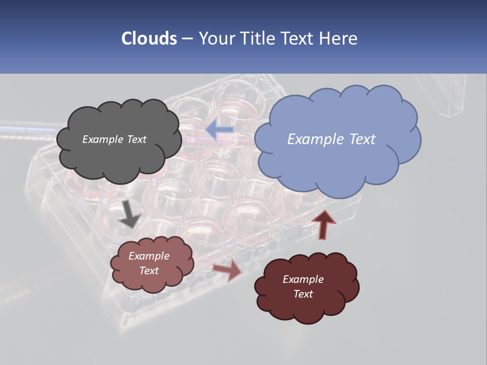Retirement Portrait Wellness PowerPoint Template
