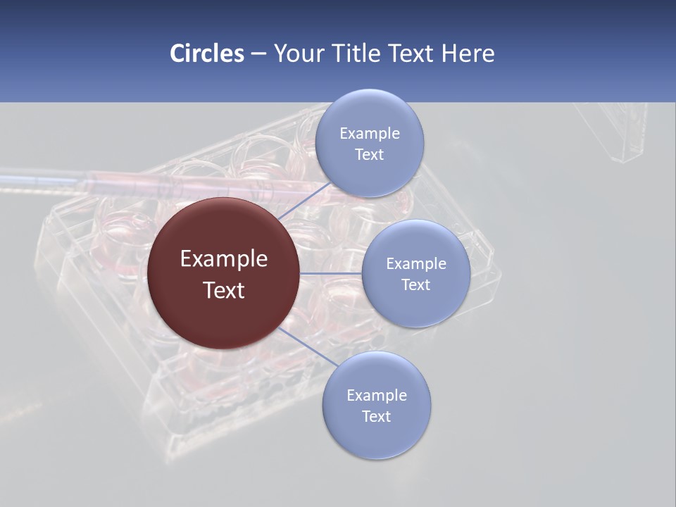 Retirement Portrait Wellness PowerPoint Template