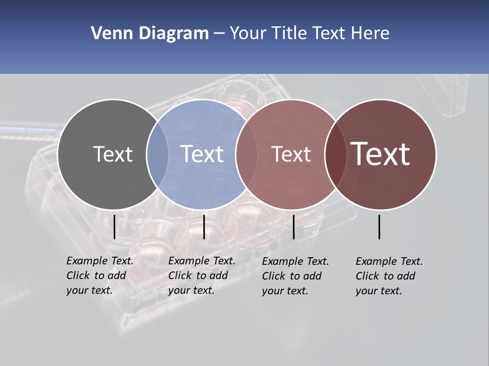 Retirement Portrait Wellness PowerPoint Template
