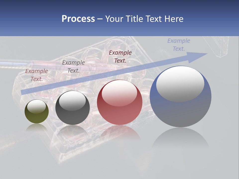 Retirement Portrait Wellness PowerPoint Template