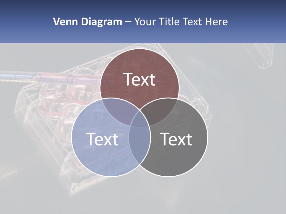 Retirement Portrait Wellness PowerPoint Template