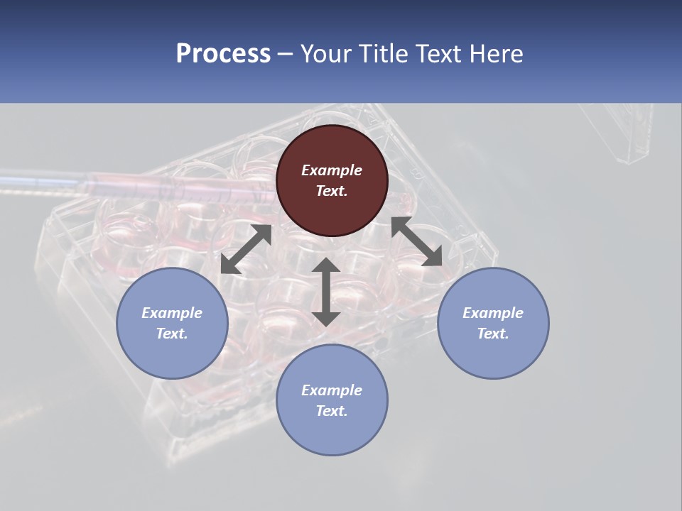 Retirement Portrait Wellness PowerPoint Template