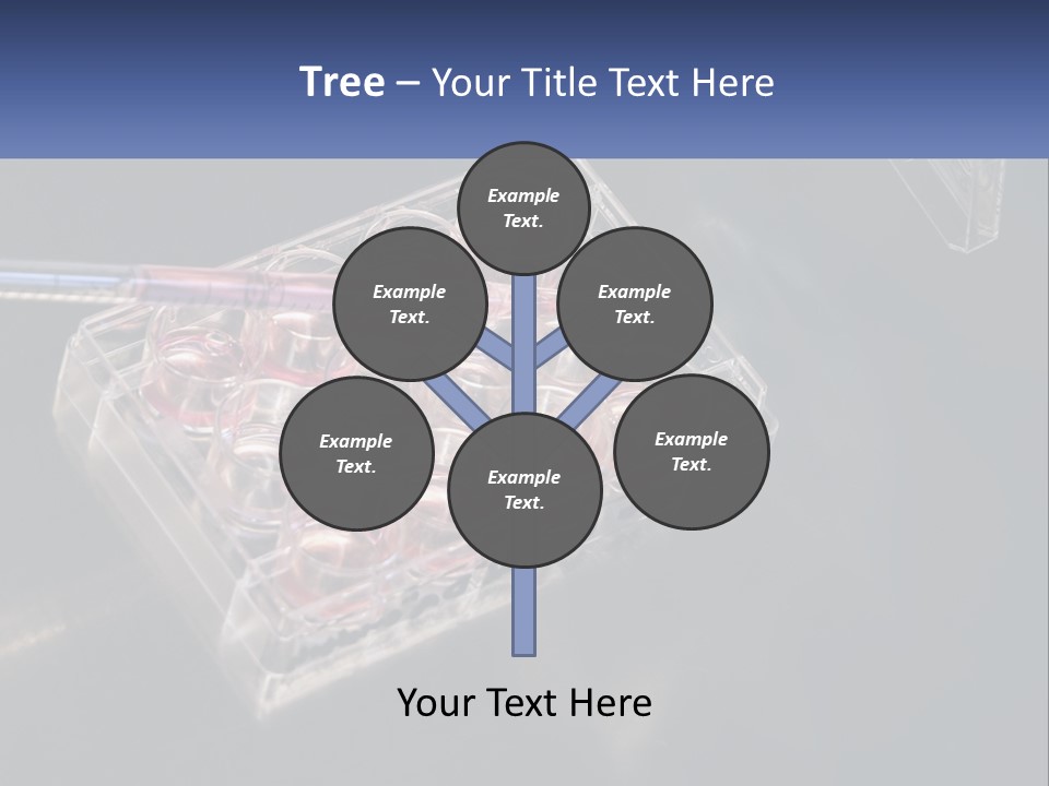 Retirement Portrait Wellness PowerPoint Template