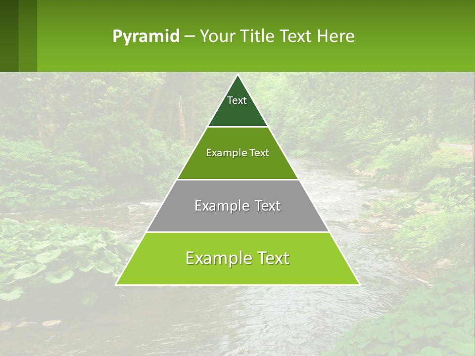 Life Senior Standing PowerPoint Template