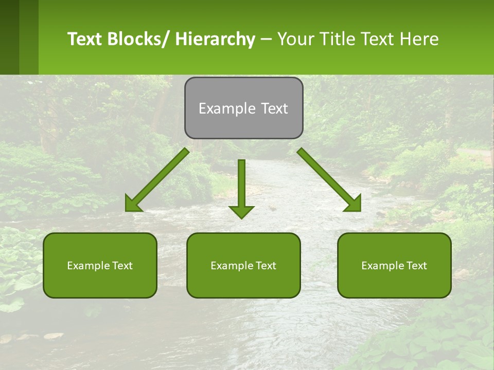 Life Senior Standing PowerPoint Template