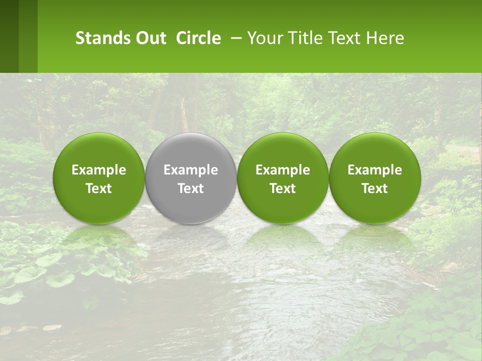 Life Senior Standing PowerPoint Template