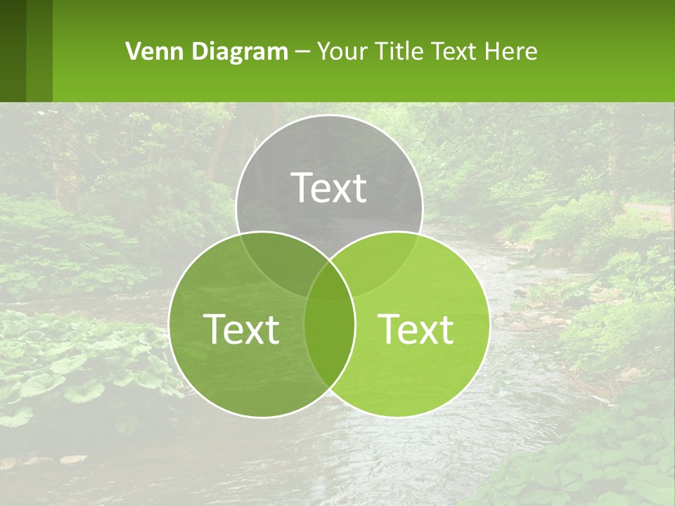 Life Senior Standing PowerPoint Template