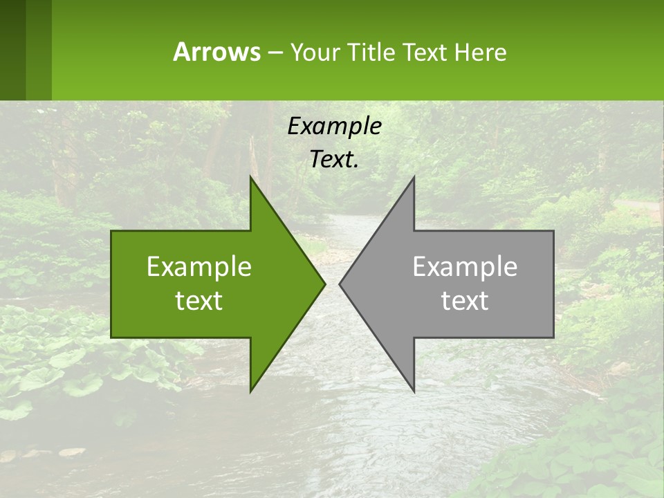 Life Senior Standing PowerPoint Template